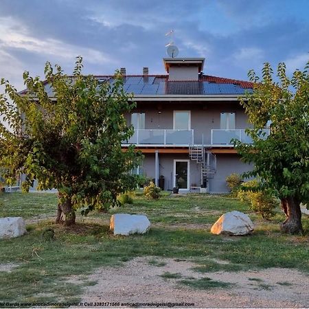 Bed and Breakfast Antica Dimora Dei Gelsi Manerba del Garda Exterior foto