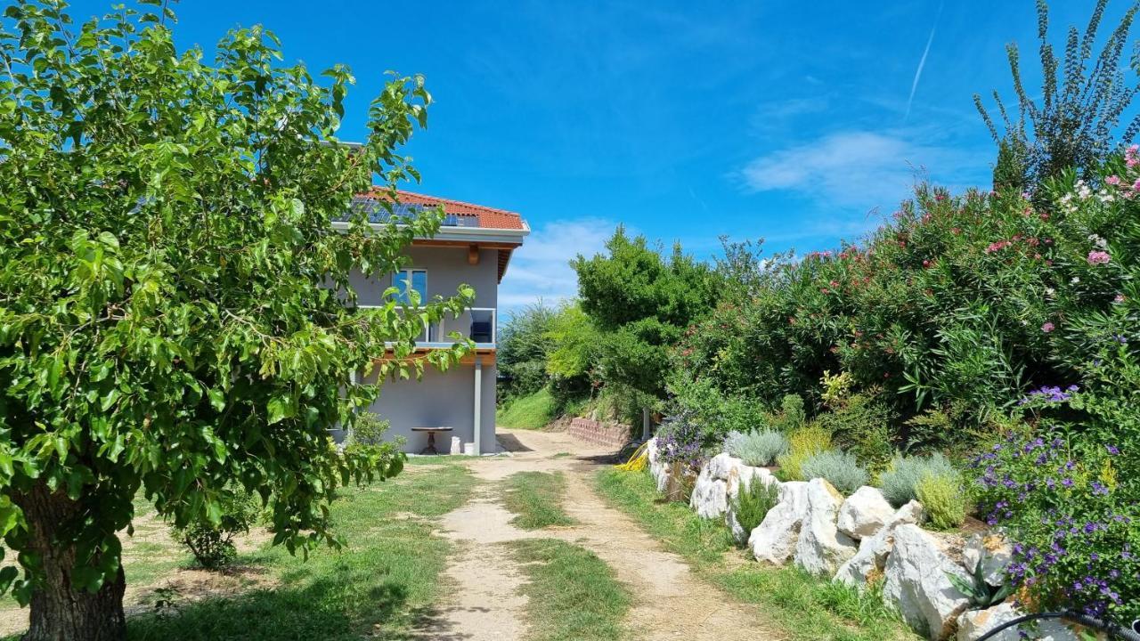 Bed and Breakfast Antica Dimora Dei Gelsi Manerba del Garda Exterior foto